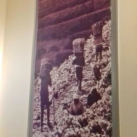 شقة Bombarda House &