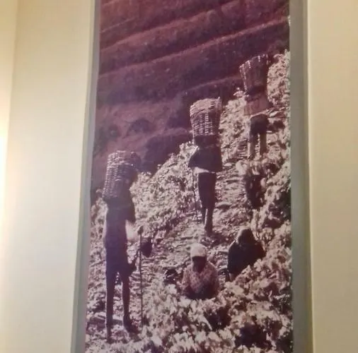 Apartment Bombarda House &